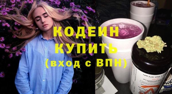дурь Арсеньев